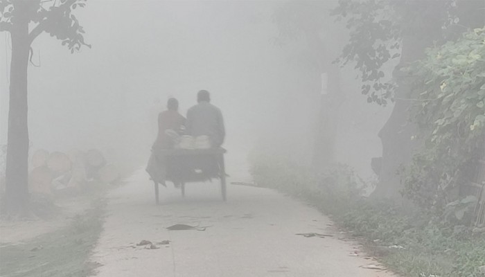 দিনাজপুরে ঘন কুয়াশা, তাপমাত্রা ১০ ডিগ্রিতে