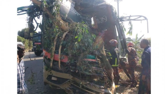 নিয়ন্ত্রণ হারিয়ে গাছের সঙ্গে ধাক্কা, তিন বাসযাত্রী নিহত