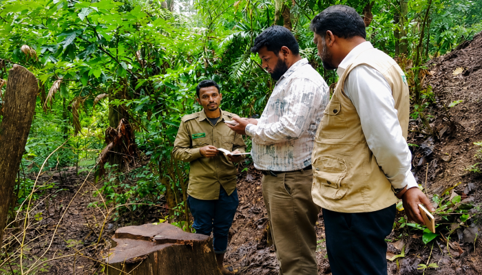 সাতছড়ি জাতীয় উদ্যানে দুটি গাছ কাটা নিয়ে তদন্তে নেমেছে বন বিভাগ