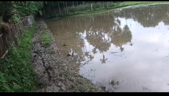 হবিগঞ্জে শত বছরের পুরনো কবরস্থানের রাস্তা কেটে ফেলার অভিযোগ